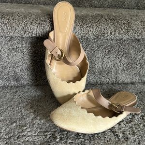 Chloe flat scalloped mule with buckle
